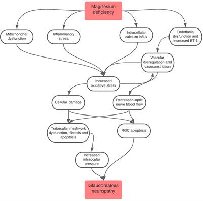 Magnesium and Its Role in Primary Open Angle Glaucoma; A Novel Therapeutic?